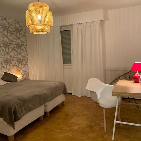 Appartement Centre-Ville コルマール エクステリア 写真